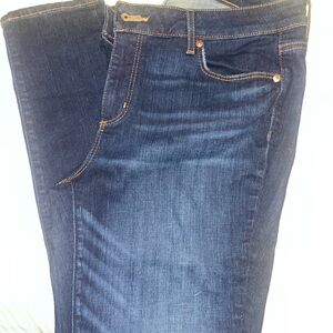 LOFT Dark Indigo Women's Skinny Jeans